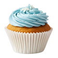 Blue Vanilla Cupcake